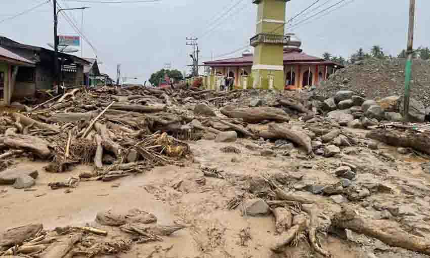Bencana Sumatra, Tanggung Jawab Siapa?